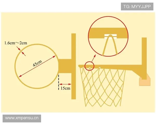 着地空间规则解析:篮球中如何保护球员的安全?